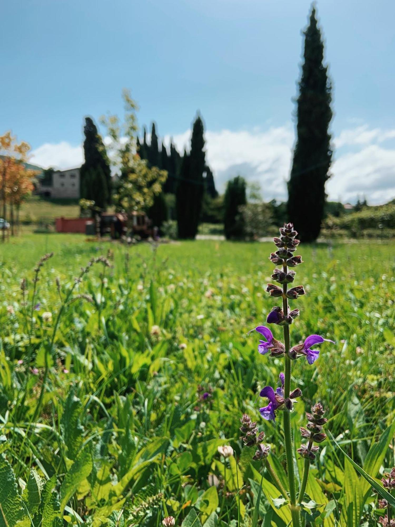 Agriturismo Val Costermano sul Garda Exterior foto