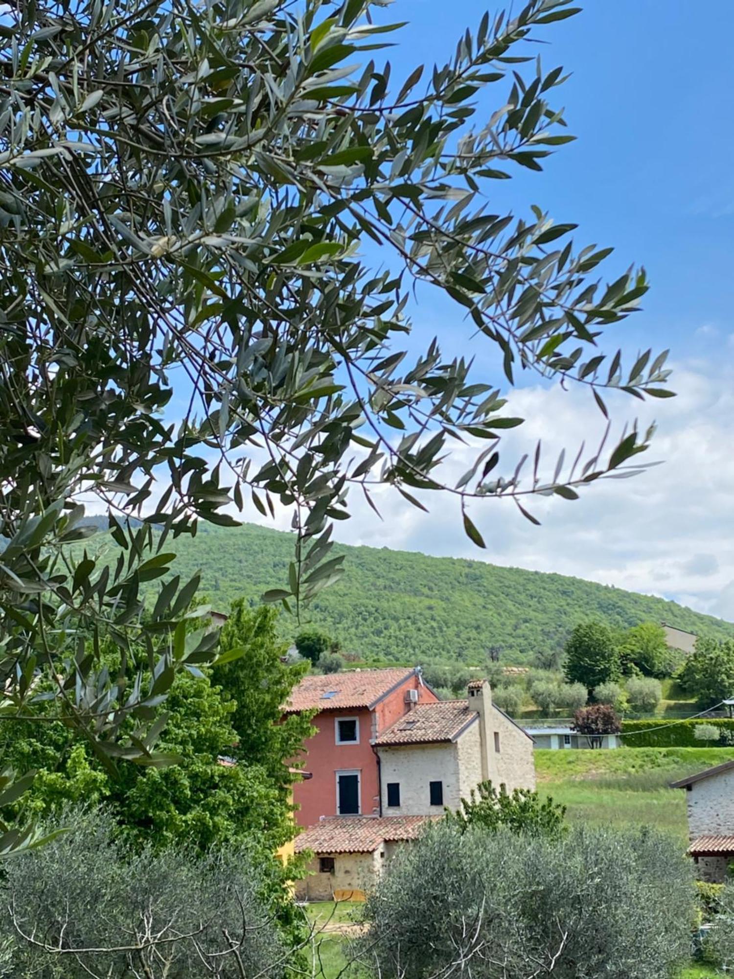 Agriturismo Val Costermano sul Garda Exterior foto